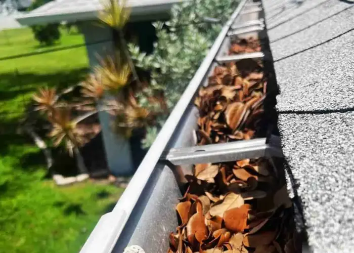 Lake Arthur gutter cleaning home page